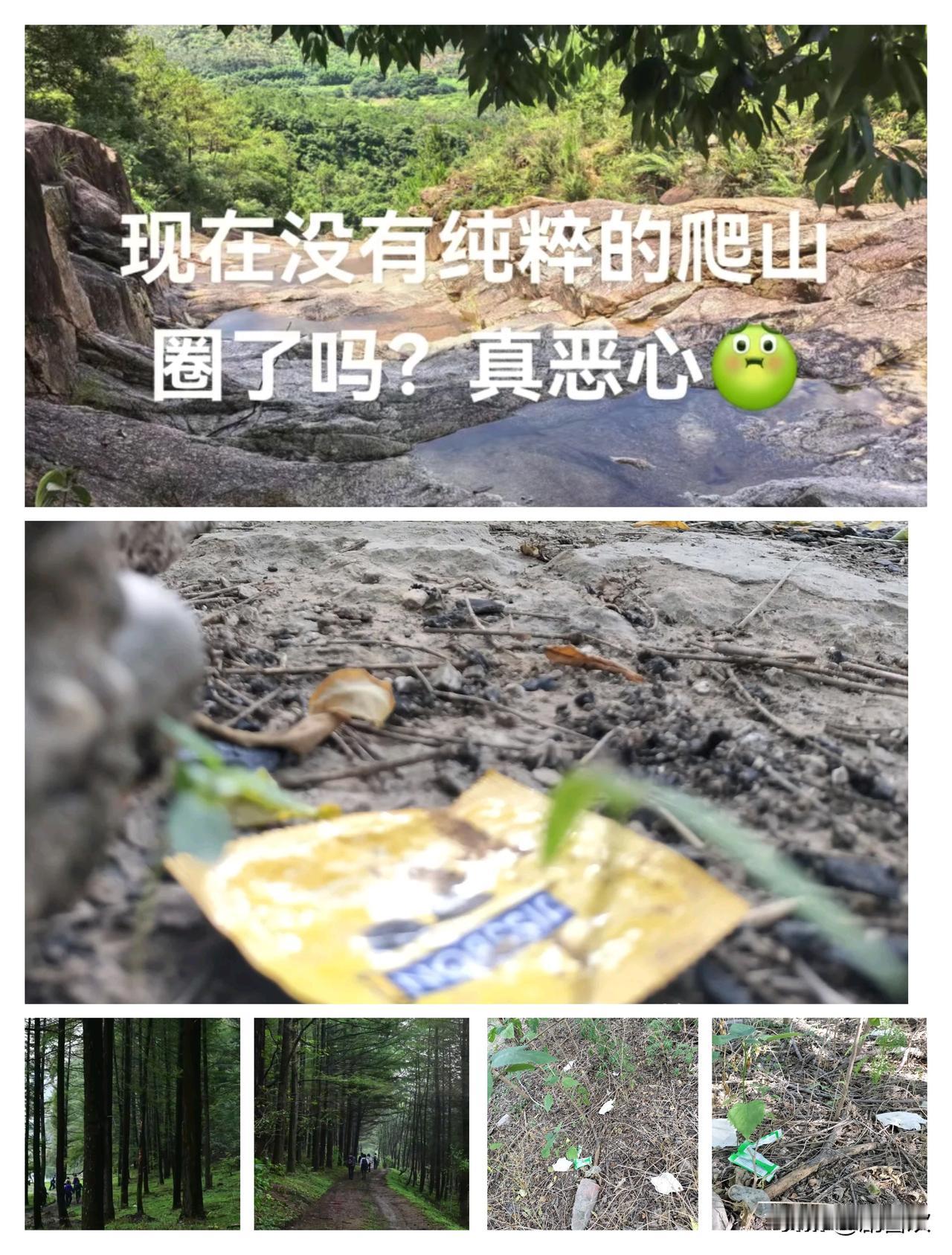 真膈应人，爬山圈也是脏了！想想就恶心！爬山撞见年轻人在山上“野”就算了，还把