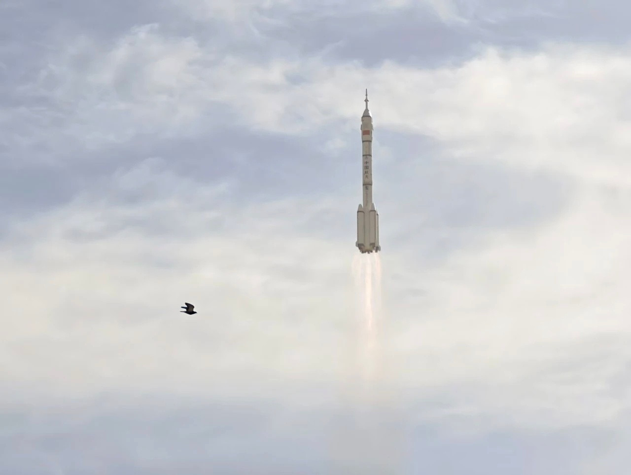 【载人航天在20天完成风险分析评估方案论证决策飞船应急发射等工作】11月5日