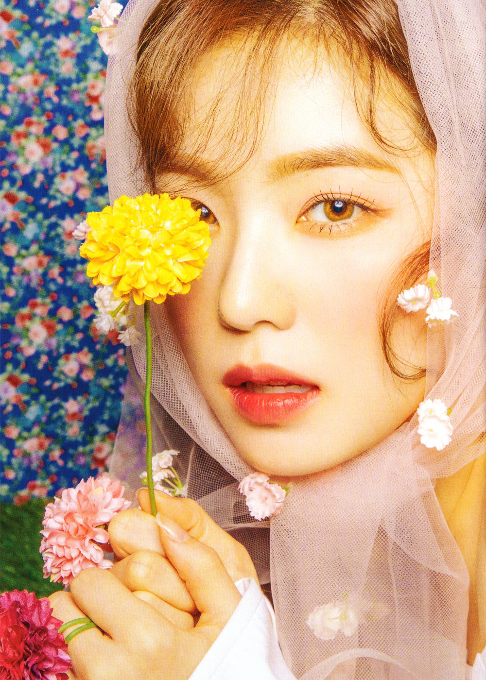 Irene|日专Sappy专辑扫图🌸扫图©️sgsgom,Kikuze