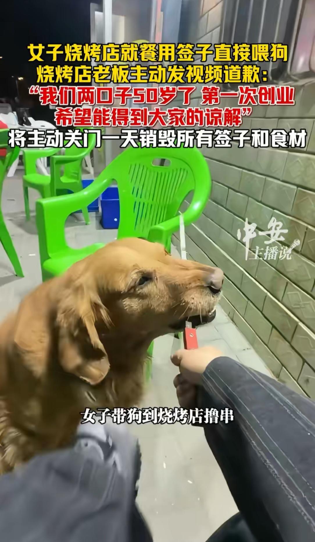 女子在烧烤店喂狗这事，烧烤店老板现在应该做这2件事：第1.不是立马去找那位女