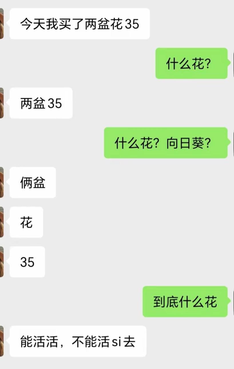 说了又好像没说！