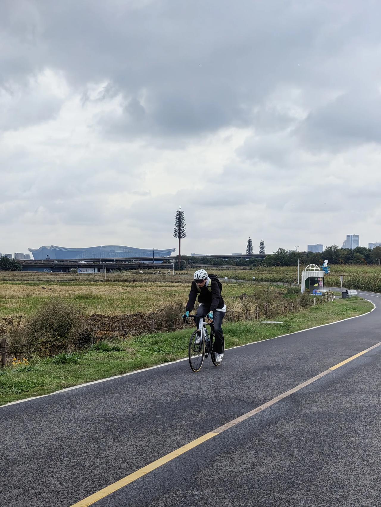 新一线城市的竞争已从“综合排名拉锯”转向“特色赛道突围”，呈现出“头部稳、中部争