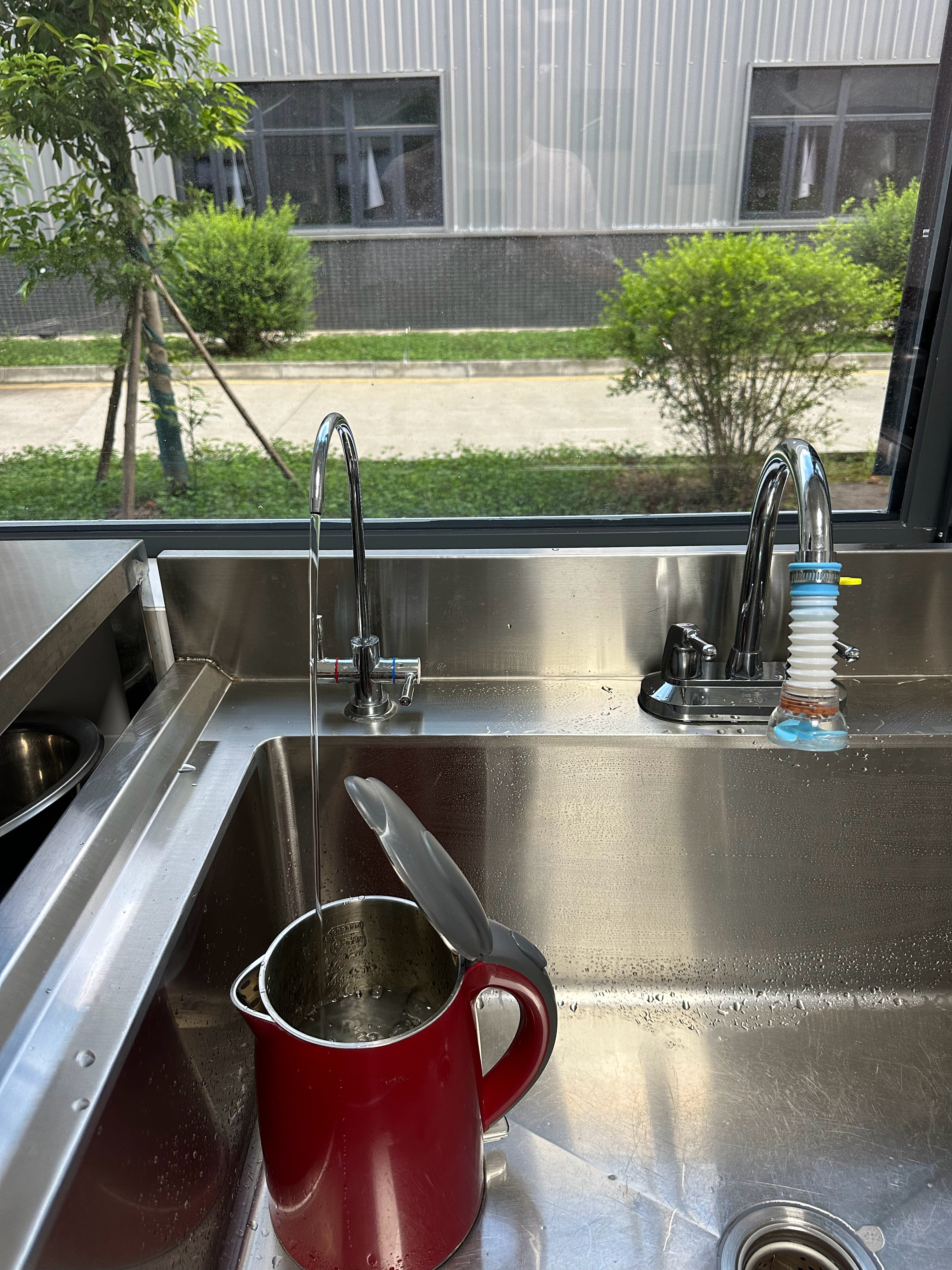 晨跑三公里，牧羊犬半小时。大家好，吃早饭没？成都