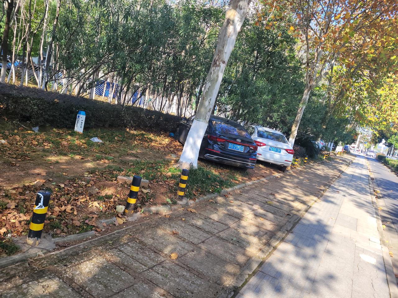 不得不说，有些人太牛了！为了逃避停车费，把车长期非法停在绿化带中。城管部门特意安