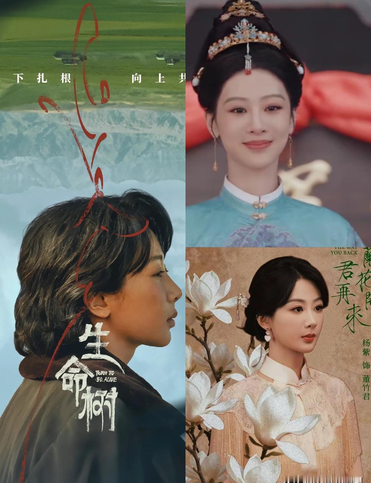 别猜了。杨紫2026年的牌桌，早就被央视内定了。第一张牌，《生命树》。硬得