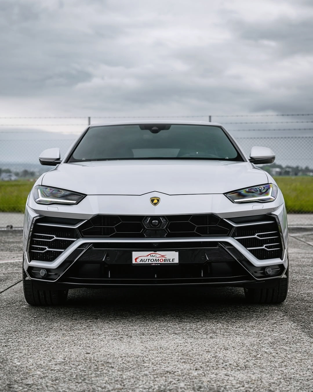 新车