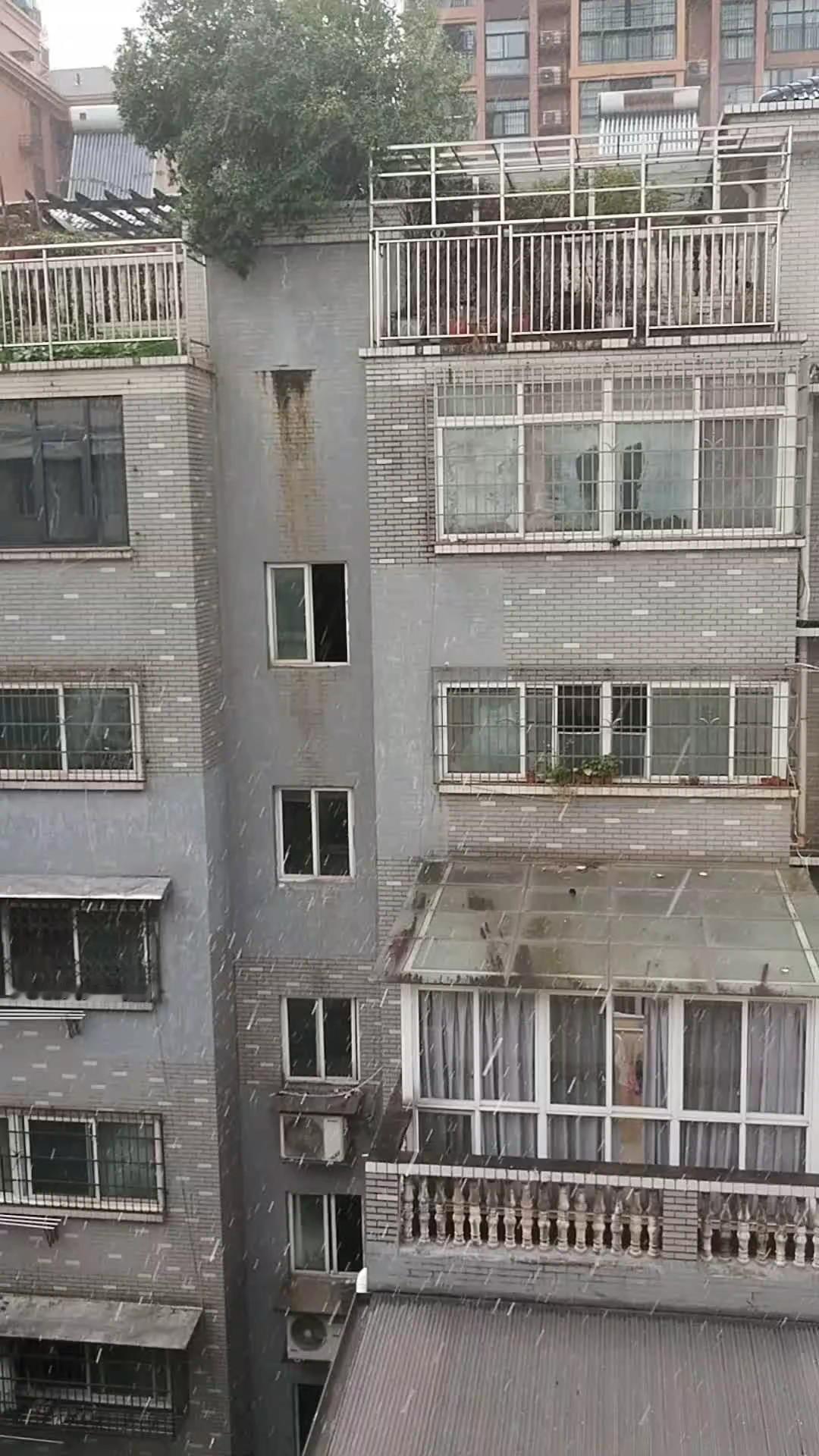 一桩陈年往事，一直搁在心里。还记得在娘家的时候，家里养了条黑狗，名叫黑子，格外通
