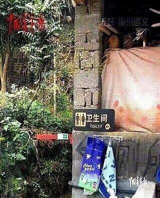 这个老头带娃绝了！贵州媳妇把娃丢回老家，结果公公带着孙子漫山遍野疯跑，钻刺蓬、捡