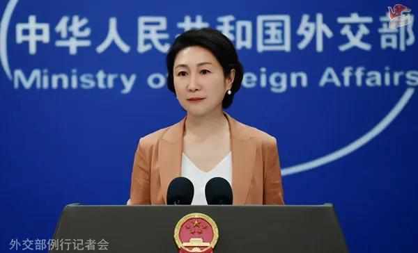 昨天（7月4日），在外交部发言人例行记者会上，西班牙《国家报》记者不怀好意地问道