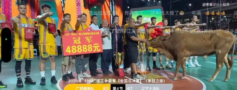 广西鹿寨队击败辽宁大洼队夺得村BA总冠军，这下辽宁球迷坐不住了！广西没有CBA球