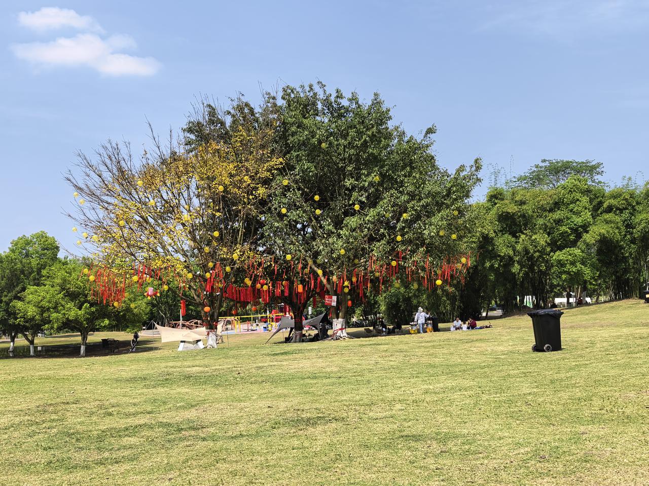 我一直都有个习惯，不到实在撑不住的那一刻，绝不会把生病难受的事告诉任何人。哪