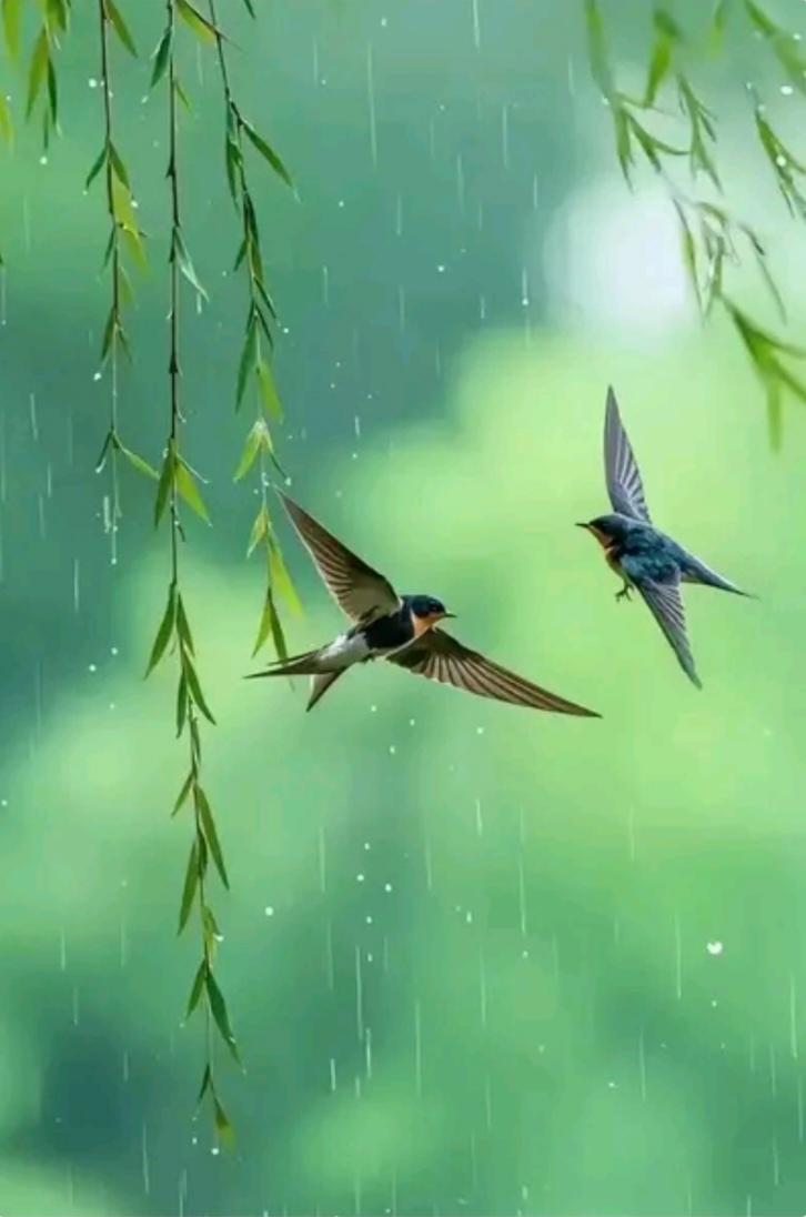 下联：孤舟泊岸柳轻摇，诚邀上联燕呢追尾鸣声脆