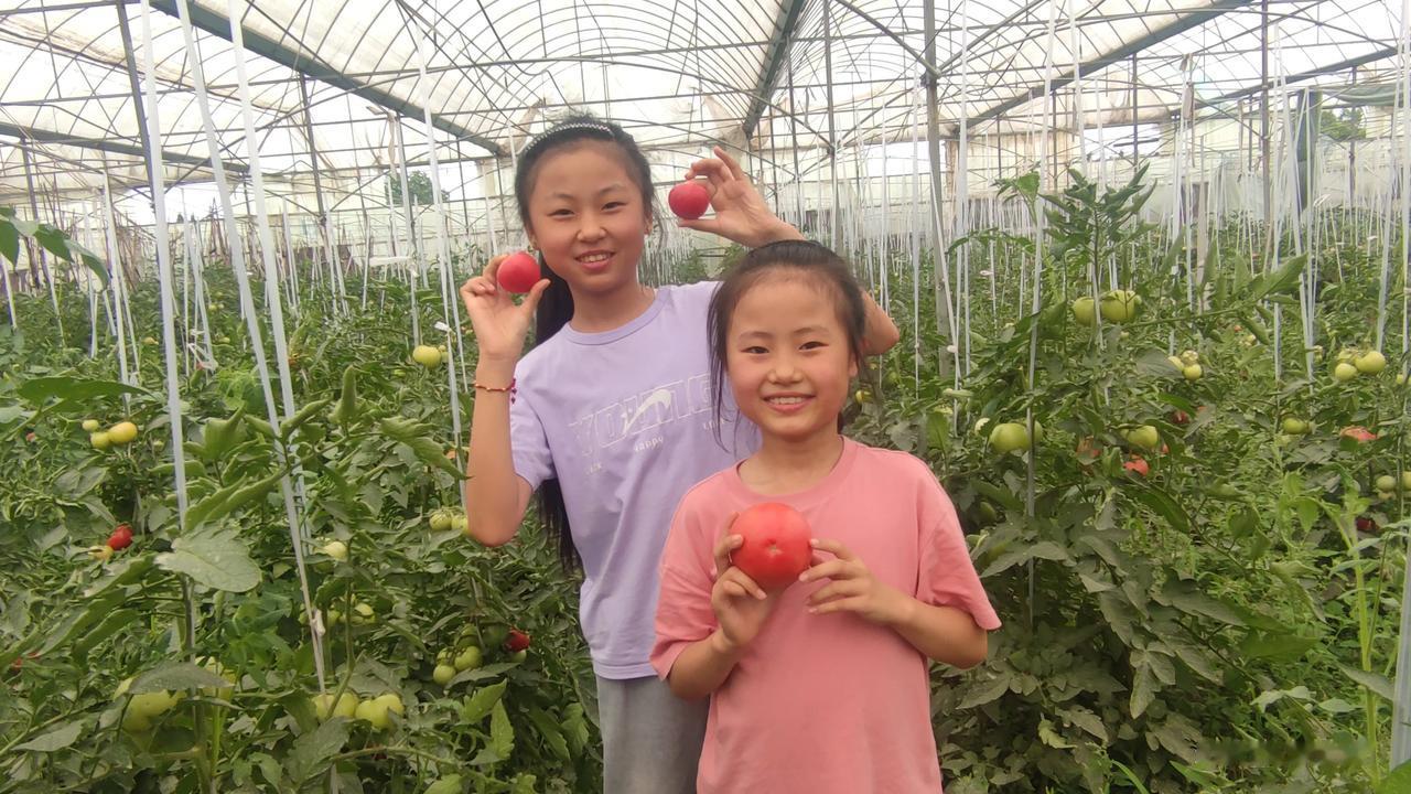 今天是星期天！我带着两个女儿出去玩，路过一个蔬菜大棚时，家家旻旻的突然叫住我：“