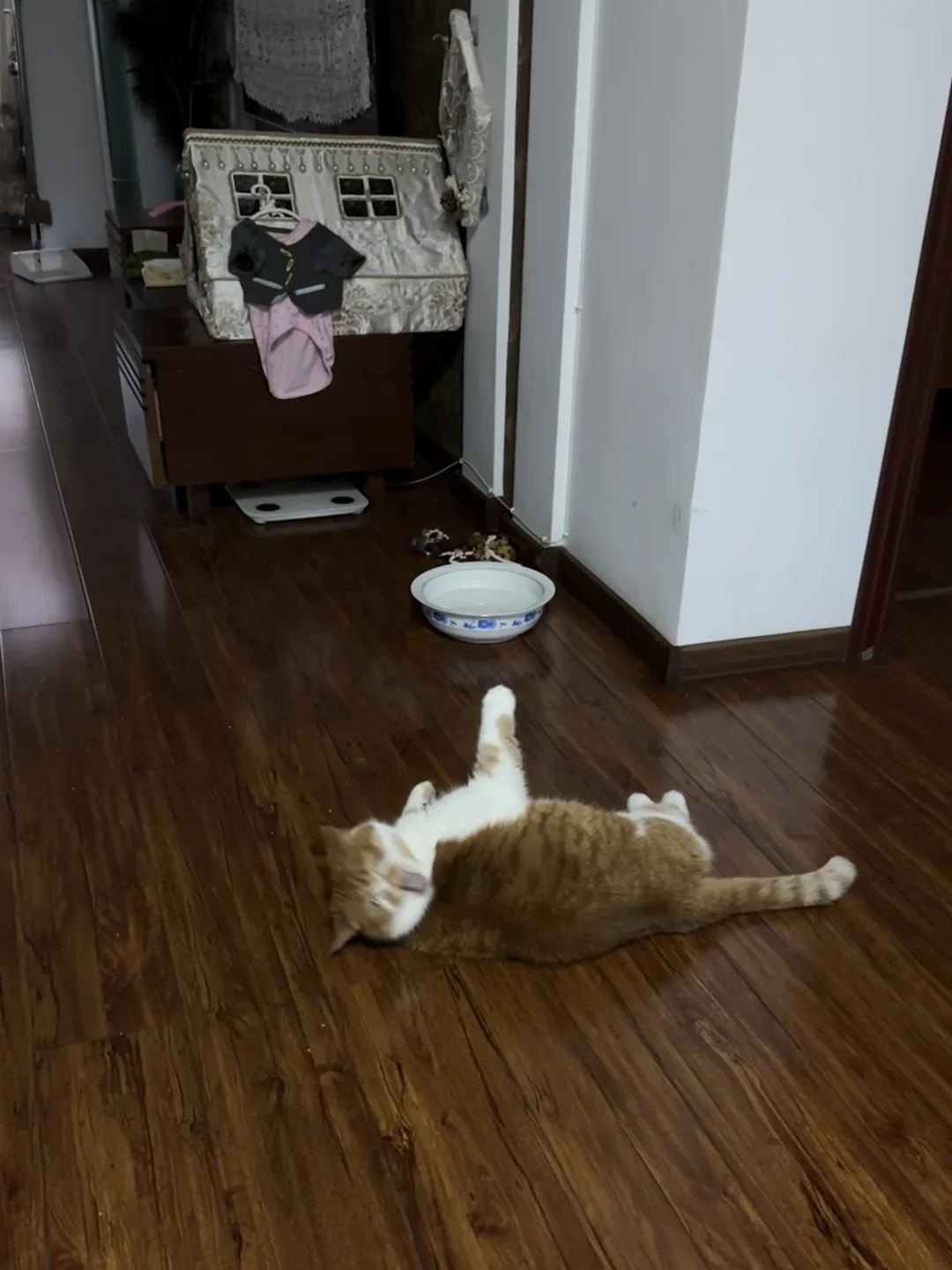 餐前仪式