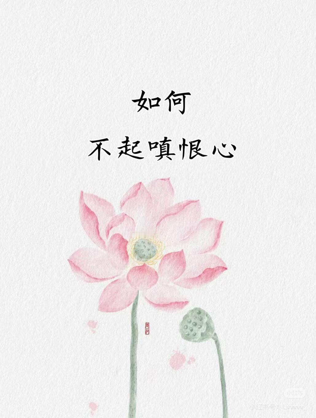 化解嗔恨心的方法你是否经历过这种至暗时刻？·被一句话激怒，瞬间失控咆哮；·被一件