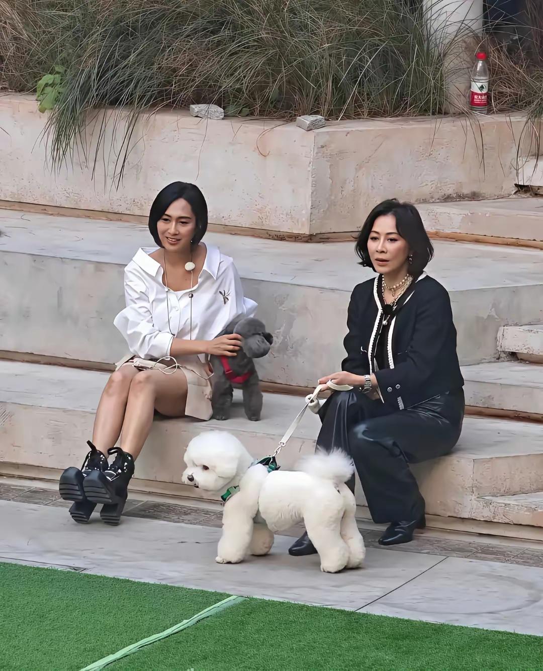 原来女神级别的女明星也会随性地坐在地上刘嘉玲与朱茵便是如此接地气她们一同遛