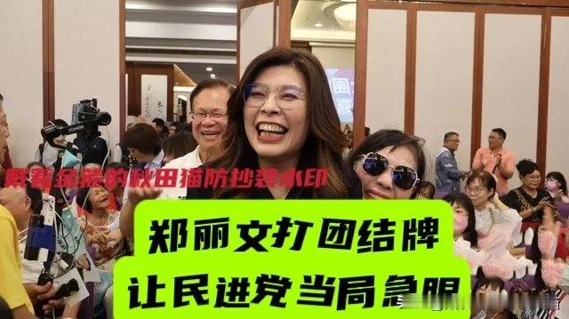 郑丽文让绿当局急眼！她力推蓝白合、大打团结牌，绿营人事案连遭封杀，庄瑞雄急得直