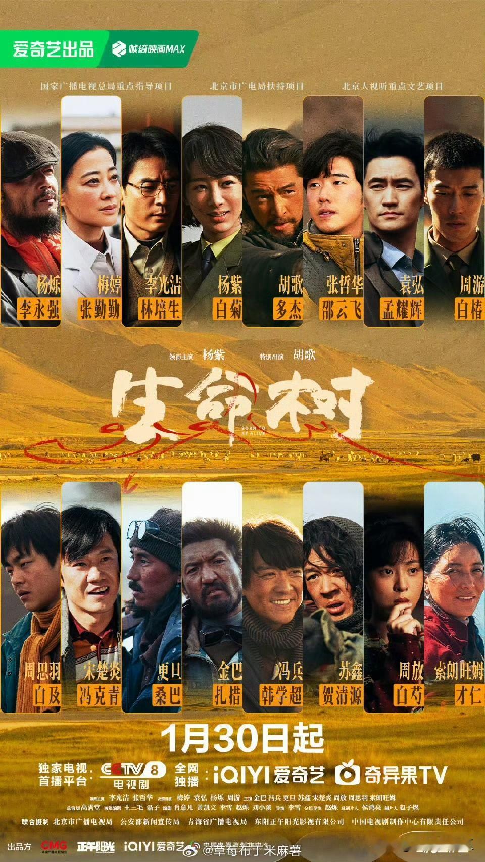 杨紫都没想到自己最大的竞争对手不是《太平年》，而是马上要播出了，正午阳光被邵氏兄