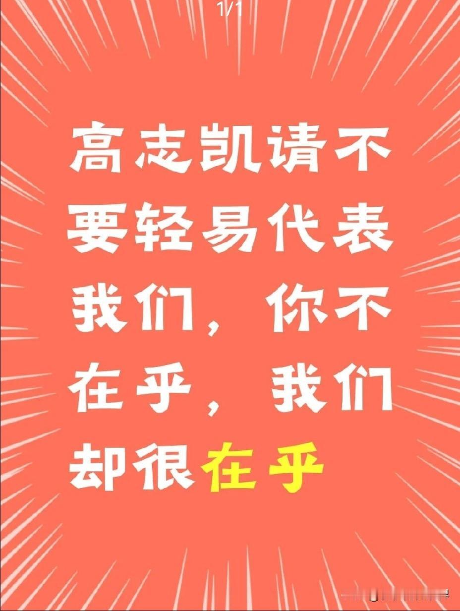 “高志凯，请你不要代表我们！”刷到一个帖子，高志凯在面对美国记者问，失去了美
