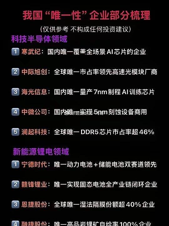中国这些“唯一性”企业，每一家都是行业压舱石！在科技半导体和新能源锂电赛道，有一
