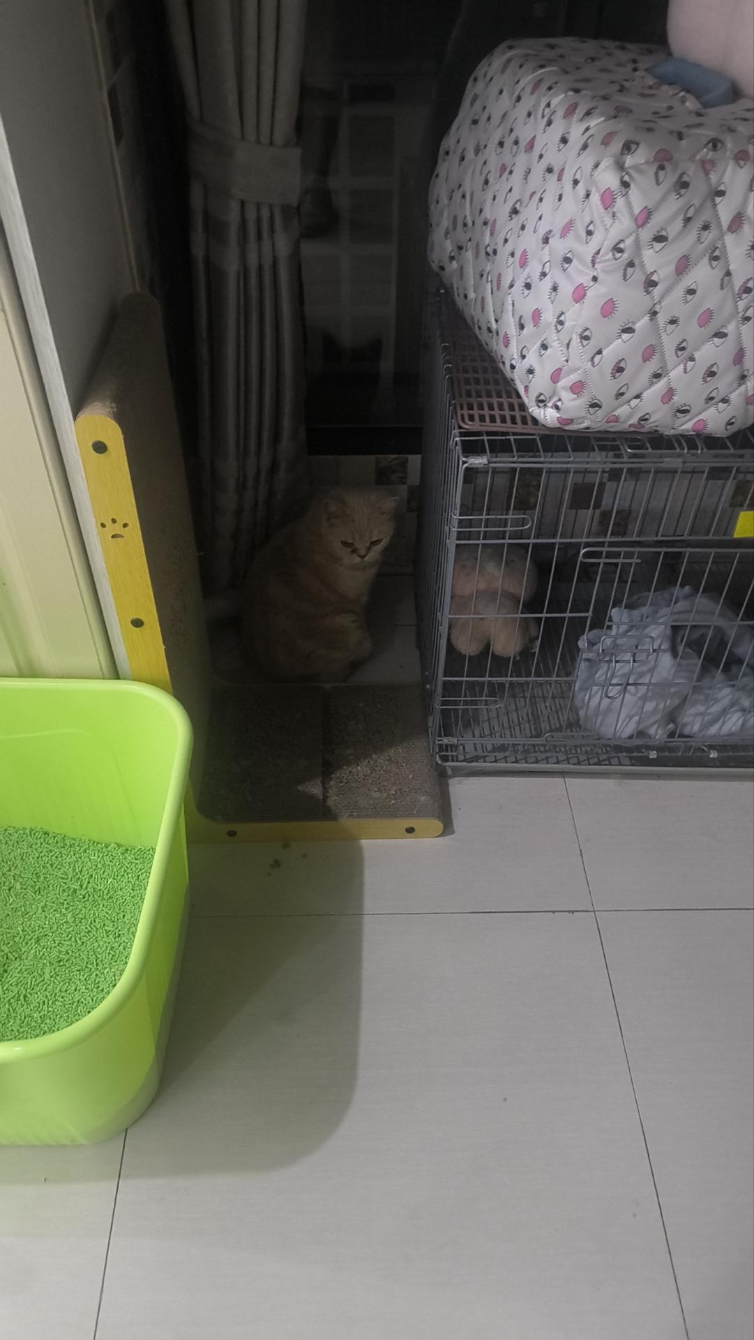 小可爱在发呆😳