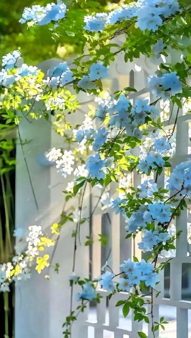 一位教育专家说:“现在上不上大学已经无所谓了，已经到了应该放弃应试教育，转头去