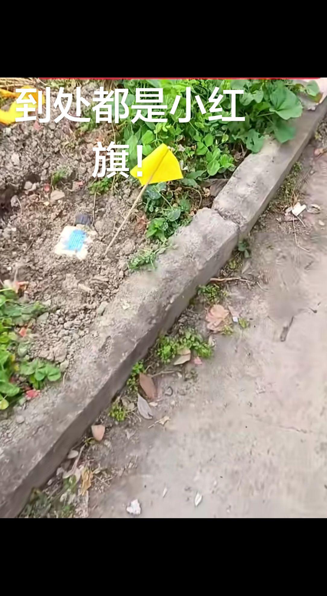 真实生活分享官谁知道这是什么真实户外小黄旗坐标