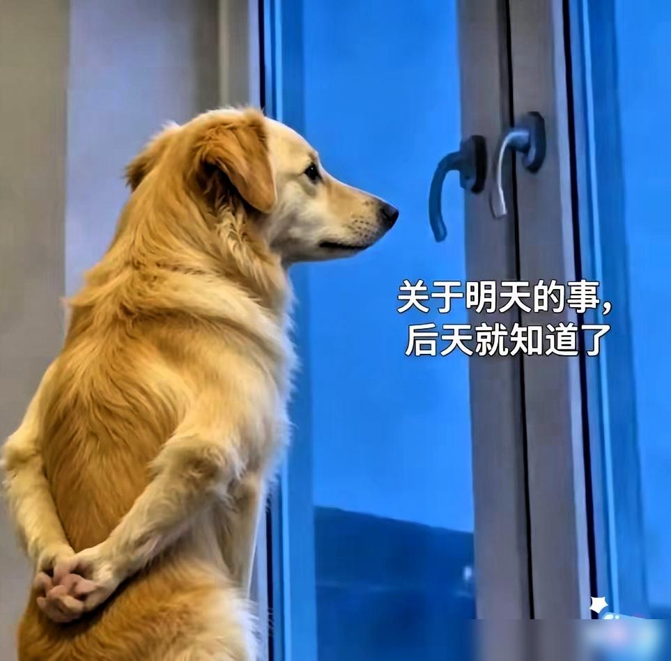 “笑不活了！”宁波一服装厂里几乎全是女工，夏天天气热，为了干活女工都穿的特别清凉