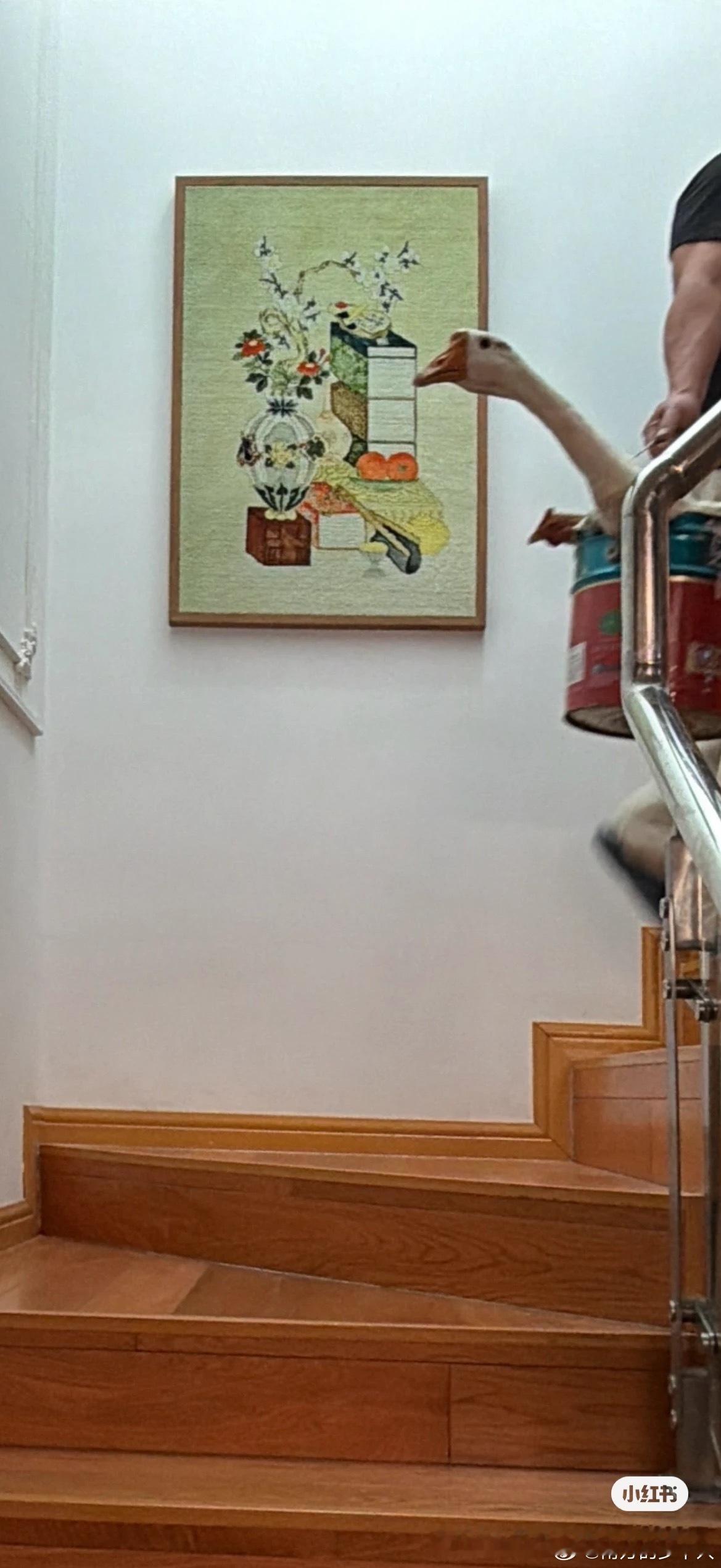 中秋节的鸡和鹅，正在被拎上楼梯​​​