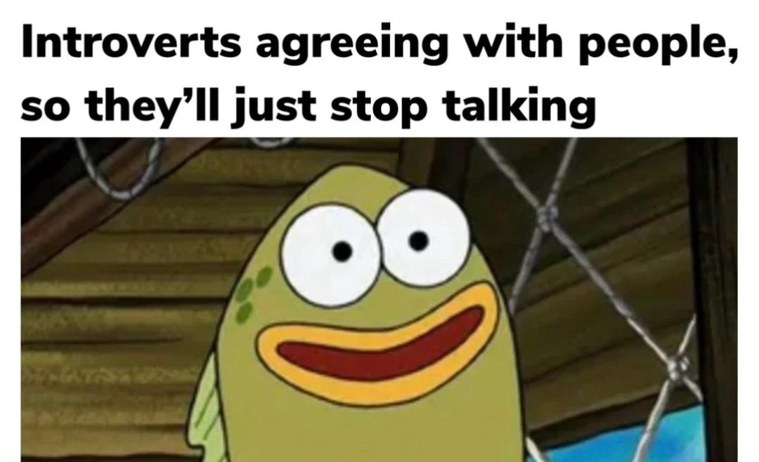 memes今日memes梗图mbti梗图introvertsdaily