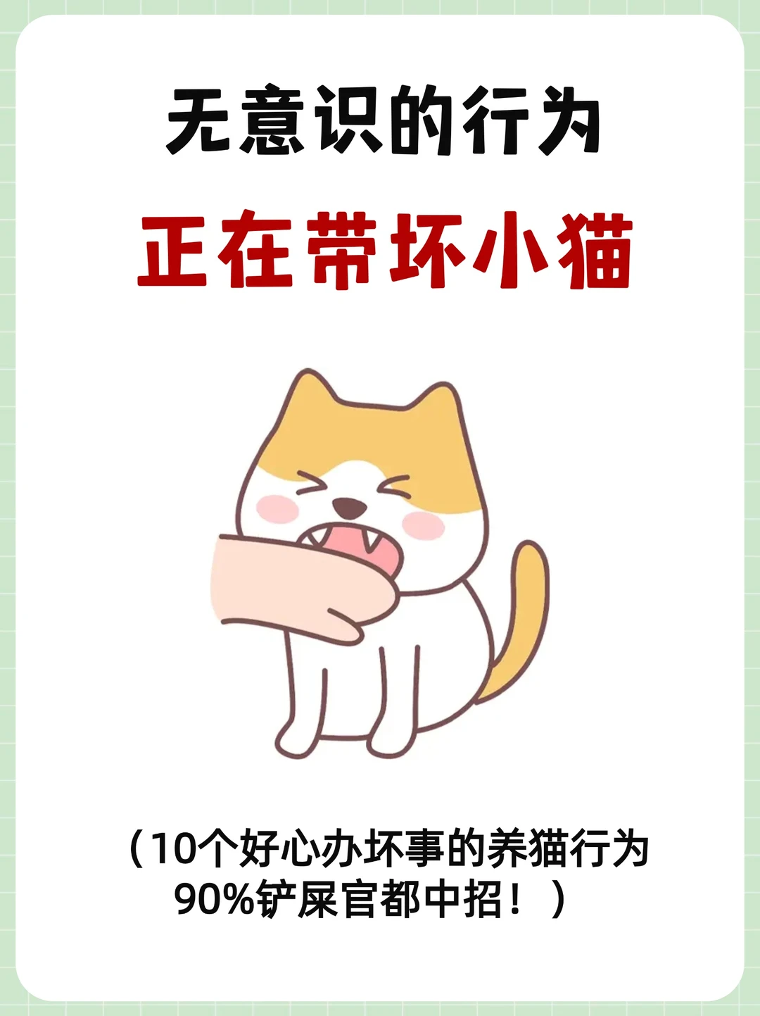 10个无意识行为正在带坏小猫❗️你却不知道😿