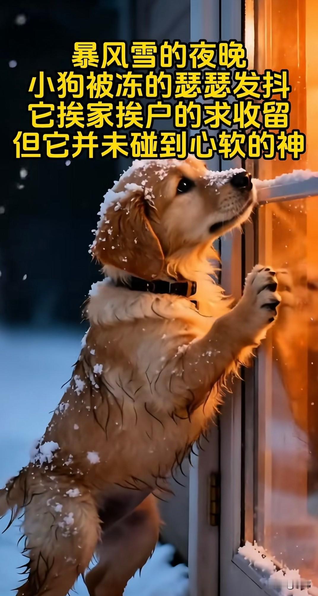 幸运的是当她来到一位老人的门前的时候，老人给它开了门，还给它拿了许多食物，之后老