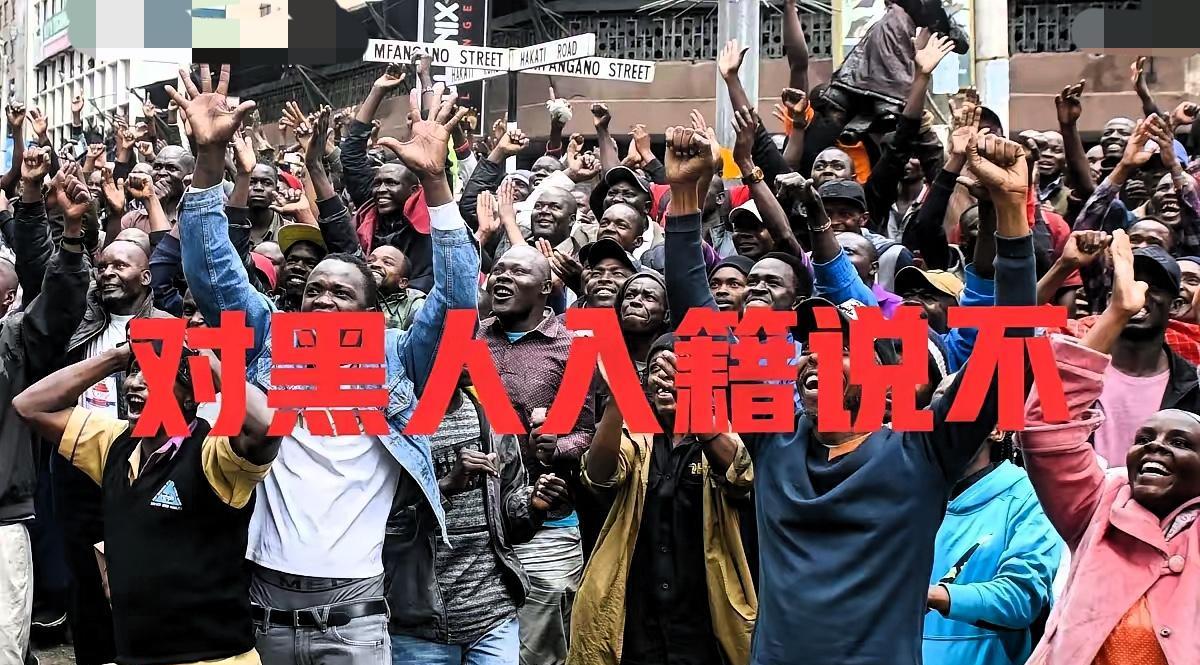 ·“广州黑人问题，必须要高度重视起来！”金教授发出严厉警告，广州非洲朋友也不在少