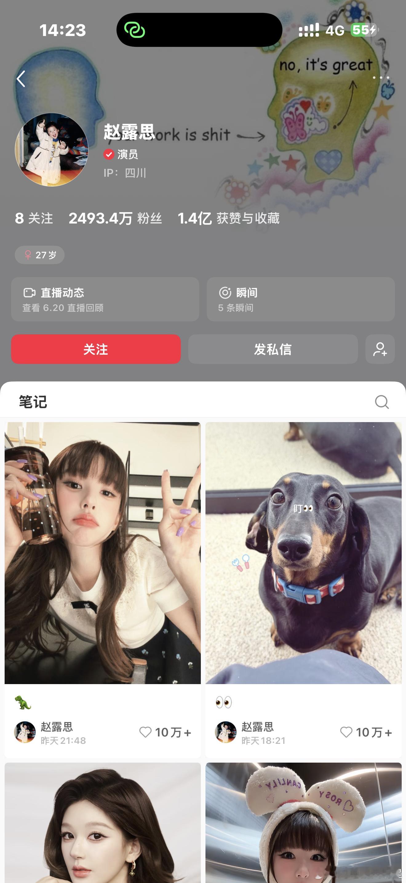 赵露思虞书欣小红书主页极致反差🈶