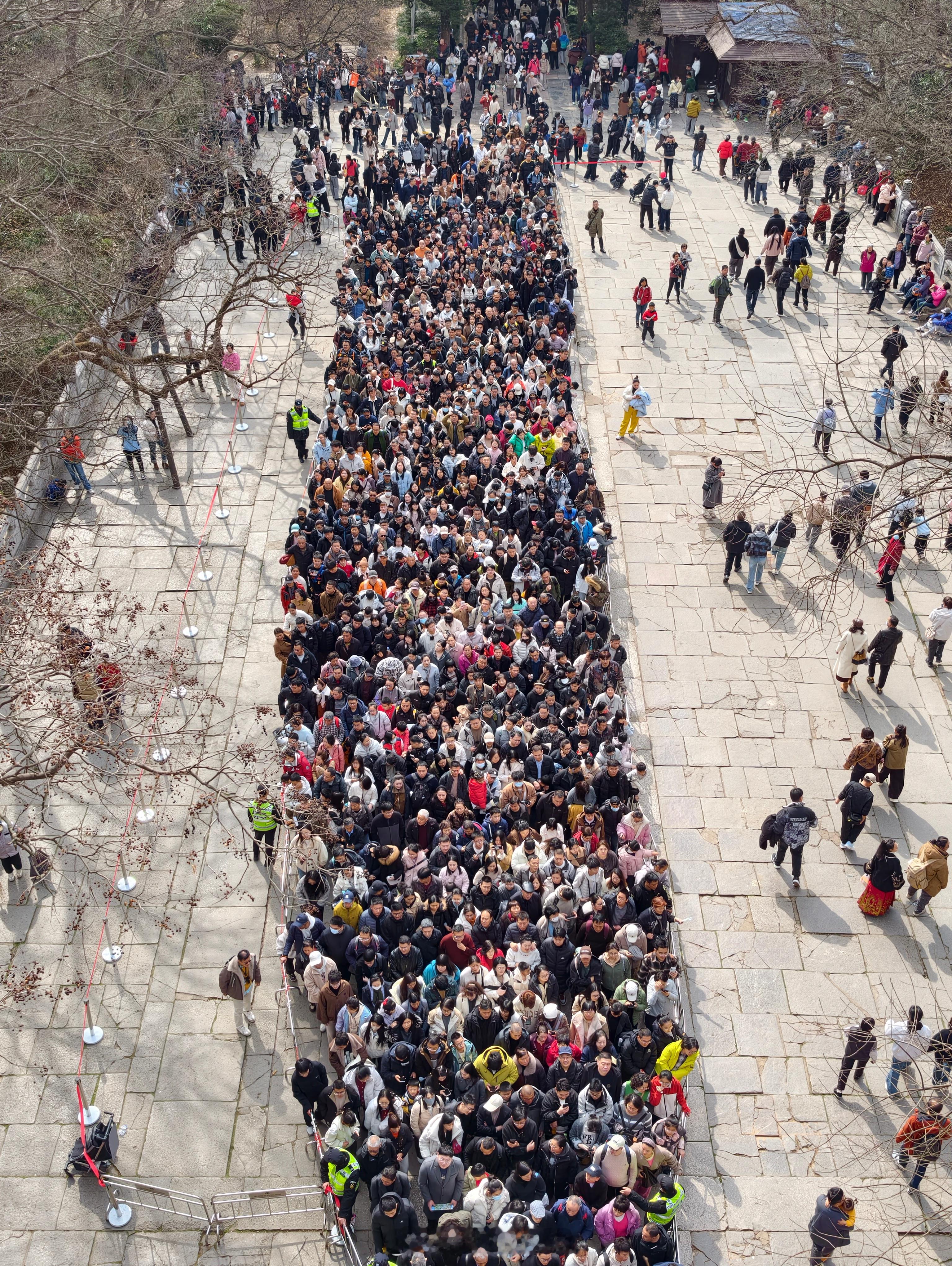 春节国内出游5.96亿人次今年春节去了南京的明孝陵、夫子庙和镇江的金山寺、西津渡