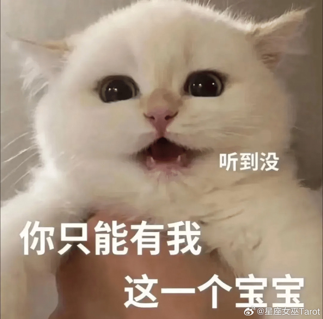 狮子、天蝎，占有欲非常高，但只会对真心喜欢的人。对待普通朋友，他们大都大方又随和