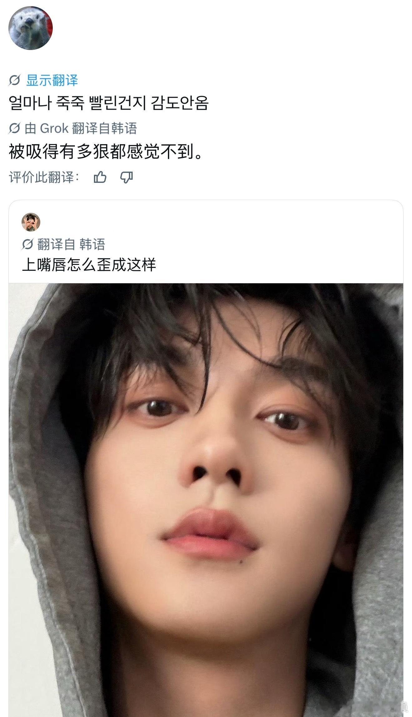 咳咳咳泡菜米热议中