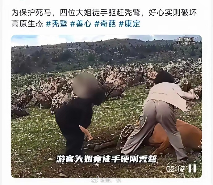 爱心泛滥的傻且