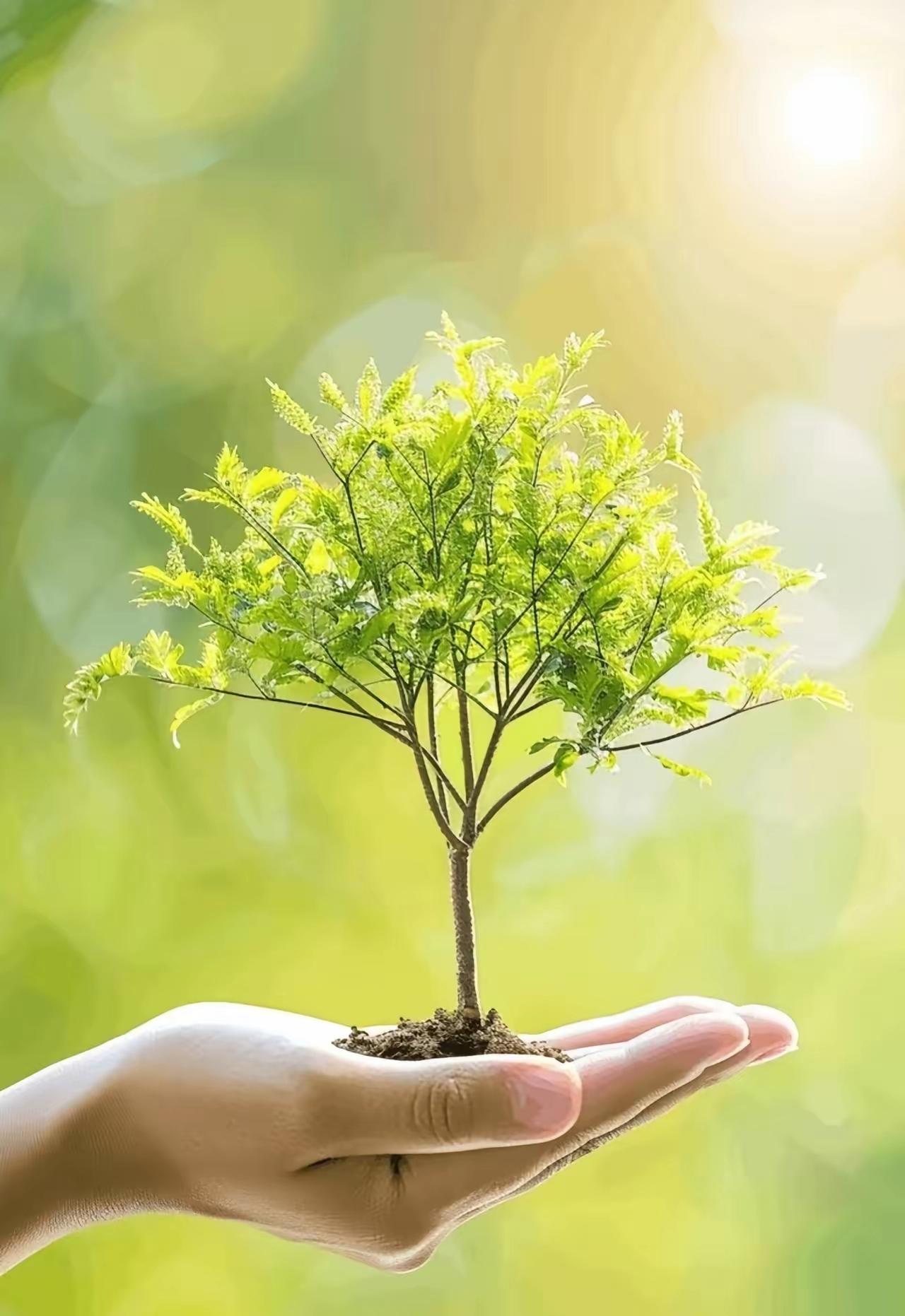 孩子越大，越要告诉他：第一，孩子越大，越要告诉他，钱很重要，但比钱更重要的是