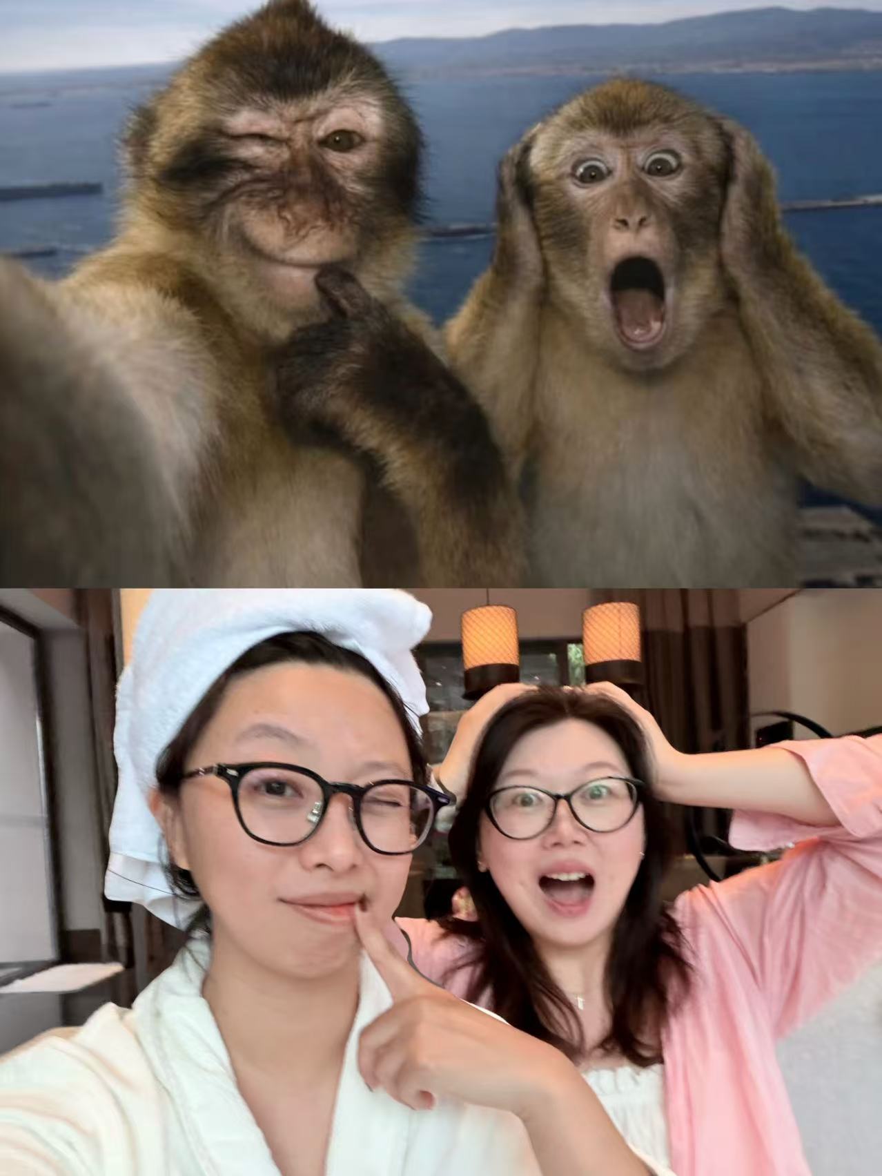 哈哈哈哈哈哈哈，必须和👭📷​​​