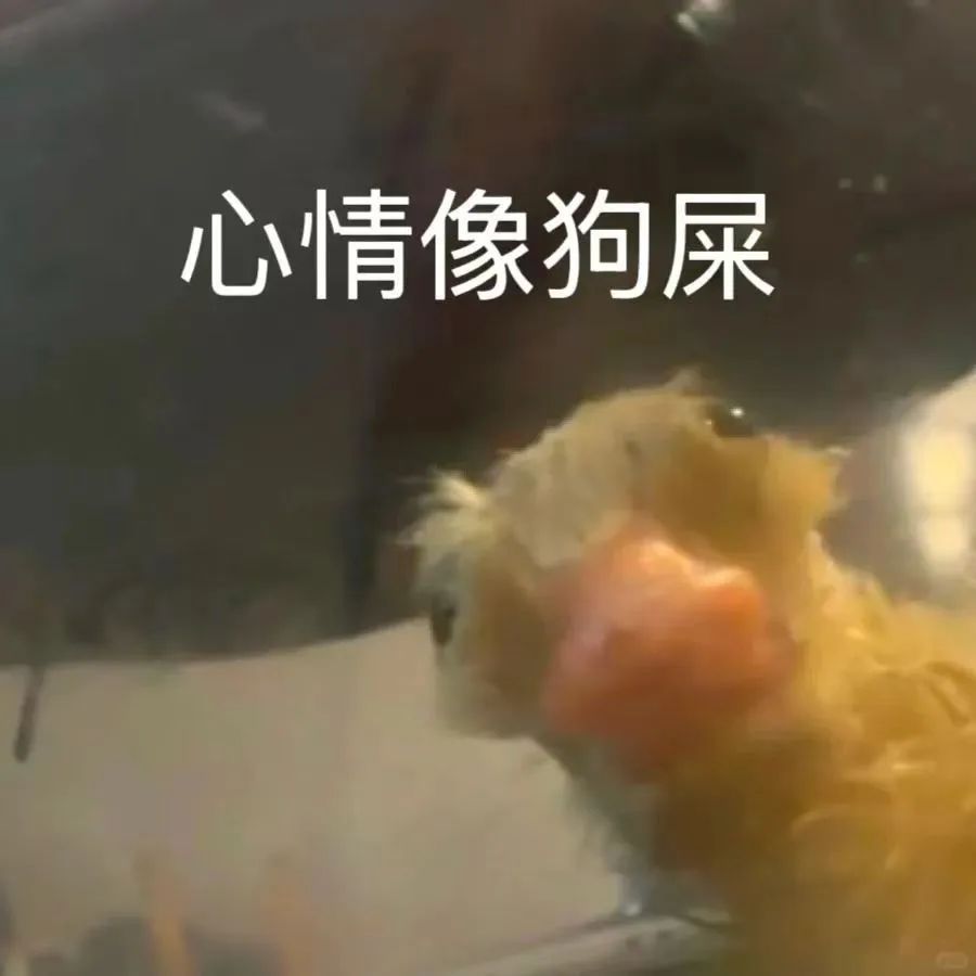 不好用的表情包我不发