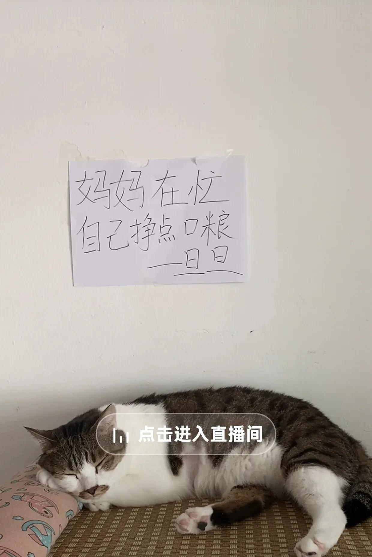 后面贴上一张纸，纸上写到：在忙，自己赚口粮。我算是明白了什么叫做睡觉赚钱了，躺着