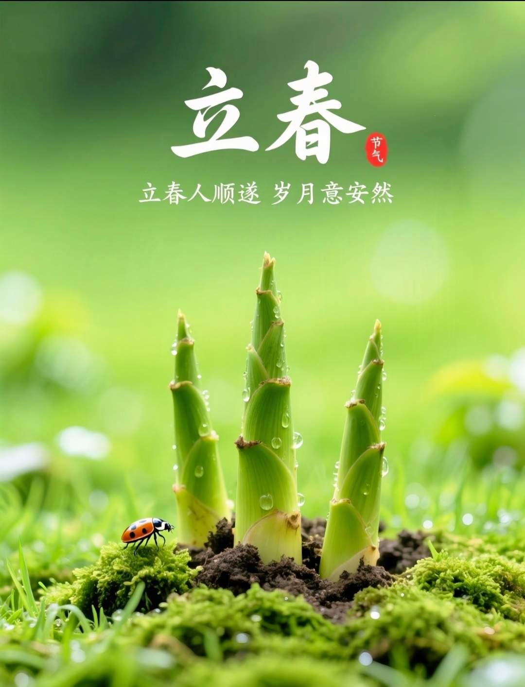 今天2月4号，凌晨4:01立春大家都来做这三件事第一件事：早点起床