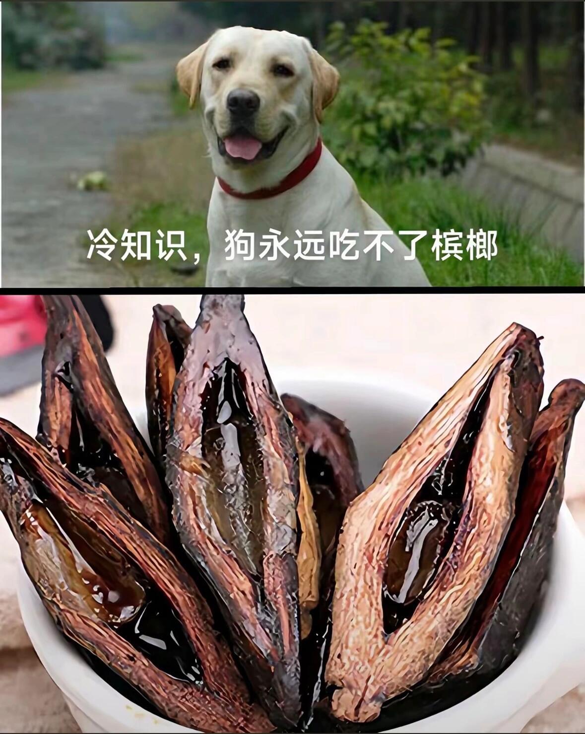 冷知识科普奇怪的知识增多了