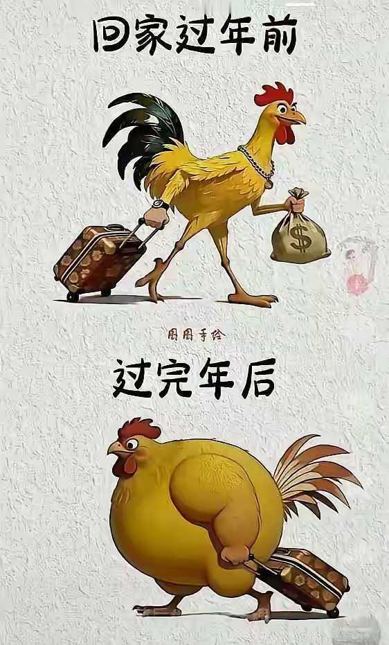 中国人的过年，太真实了