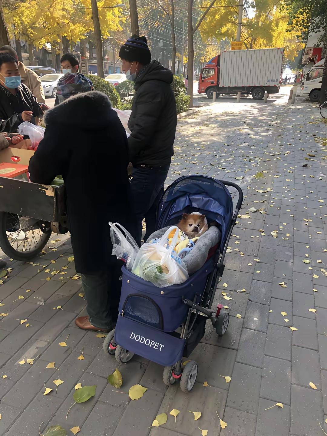 早市上，见一老人推着婴儿车，里边坐着个小家伙，以为是他孙子，去问了问，没想到居然