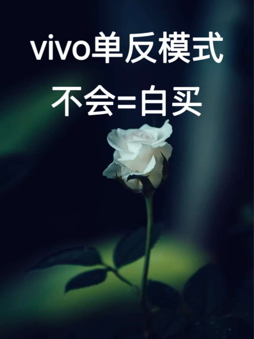 vivo拍照堪比单反！专业模式拍照技巧｜漂亮🤩