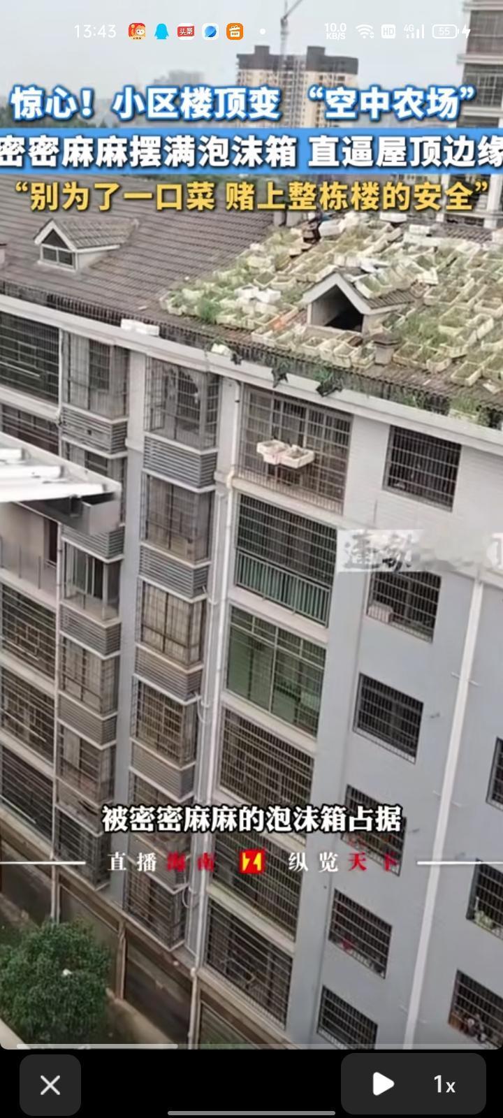 5月12日，衡阳常宁市。网友晒视频称，小区高层住宅楼顶变成“空中农场”，密密麻麻