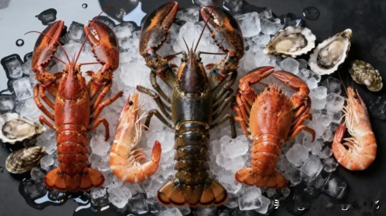 猫哭耗子假慈悲！12月23日根据塔斯社报道：英国政府正式宣布，在英格兰地区禁止把