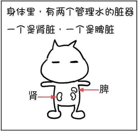 湿气从何而来? 体内湿气过重, 中医的简单药方, 祛湿健脾效果好!